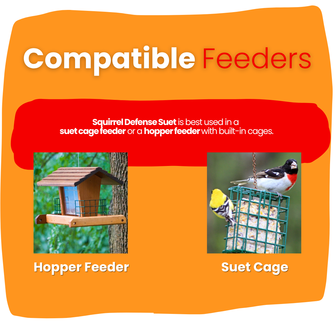 Squirrel Defense Suet