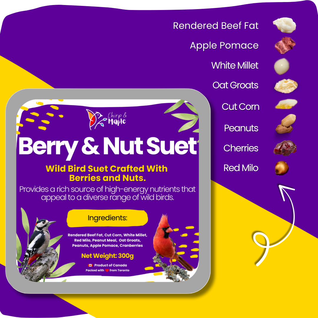 Berry & Nut Suet