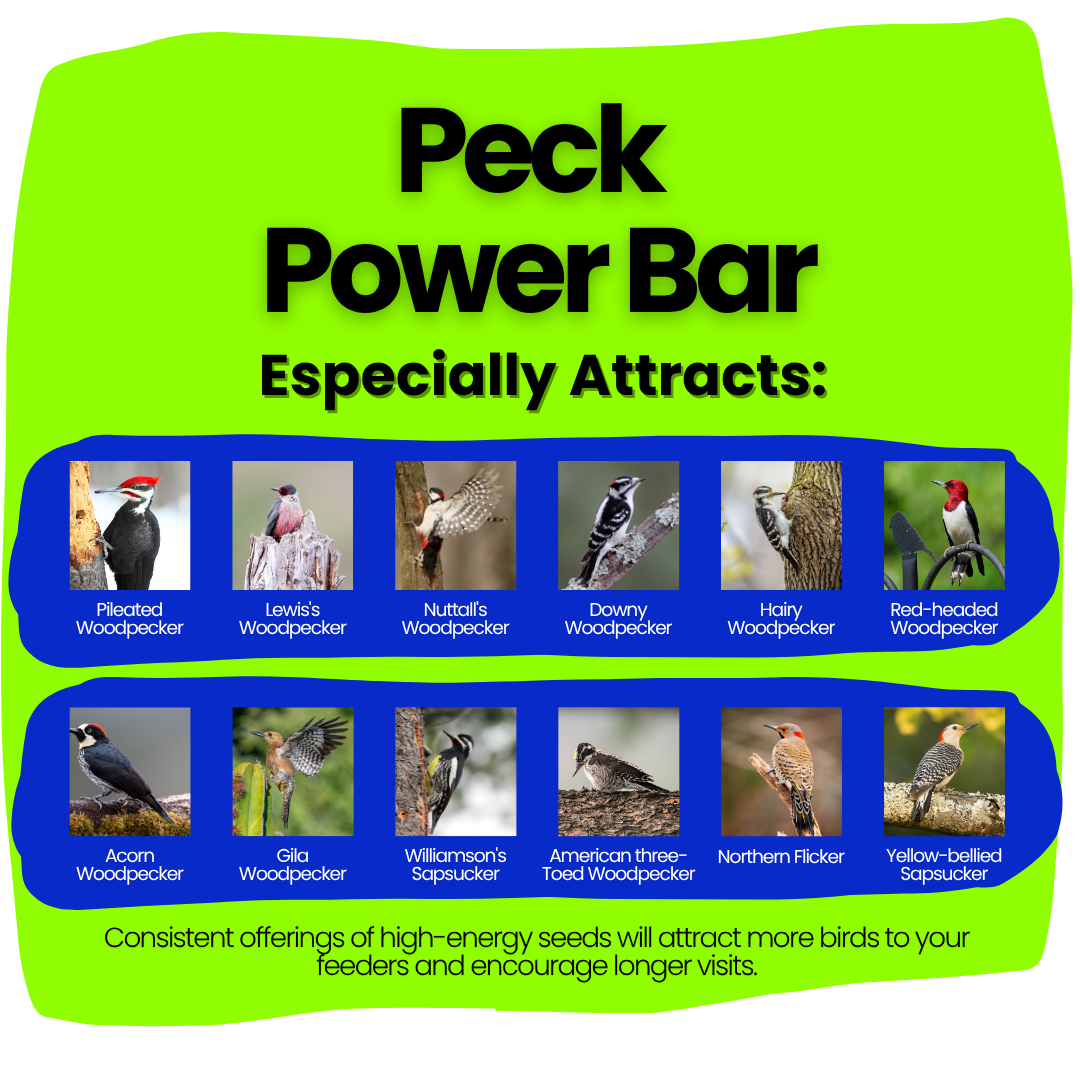 Peck Power Bar