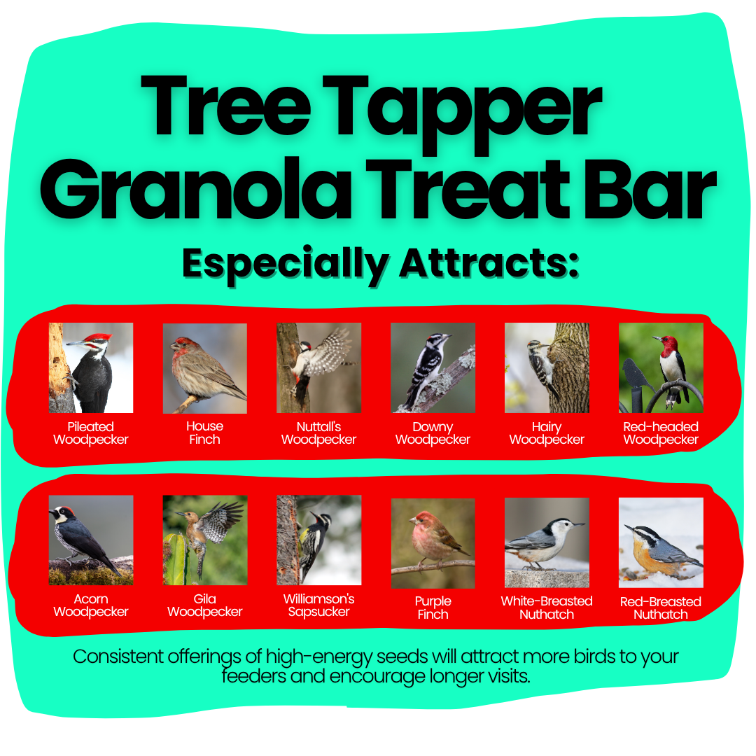 Tree Tapper Granola Treat Bar