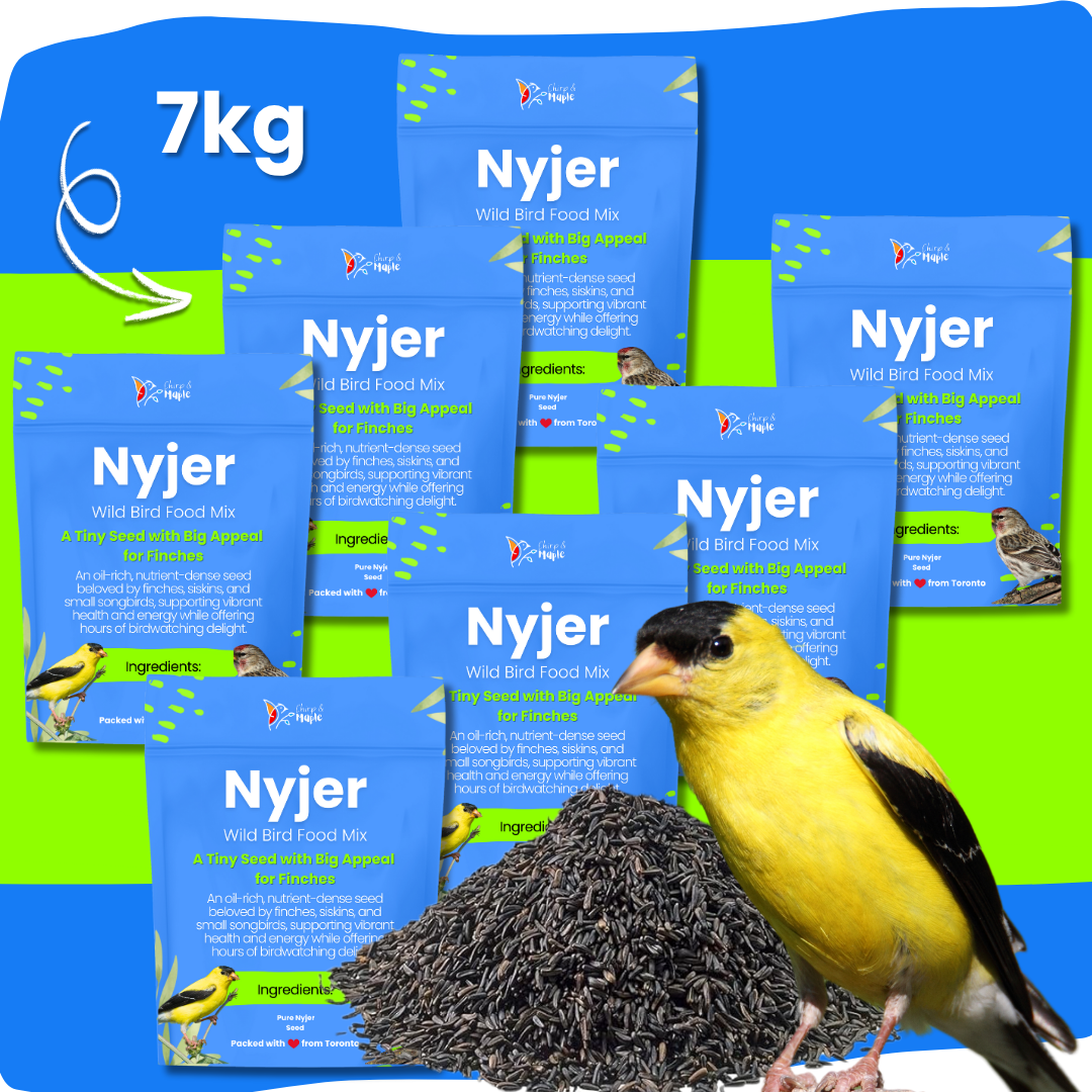 Nyjer Seed