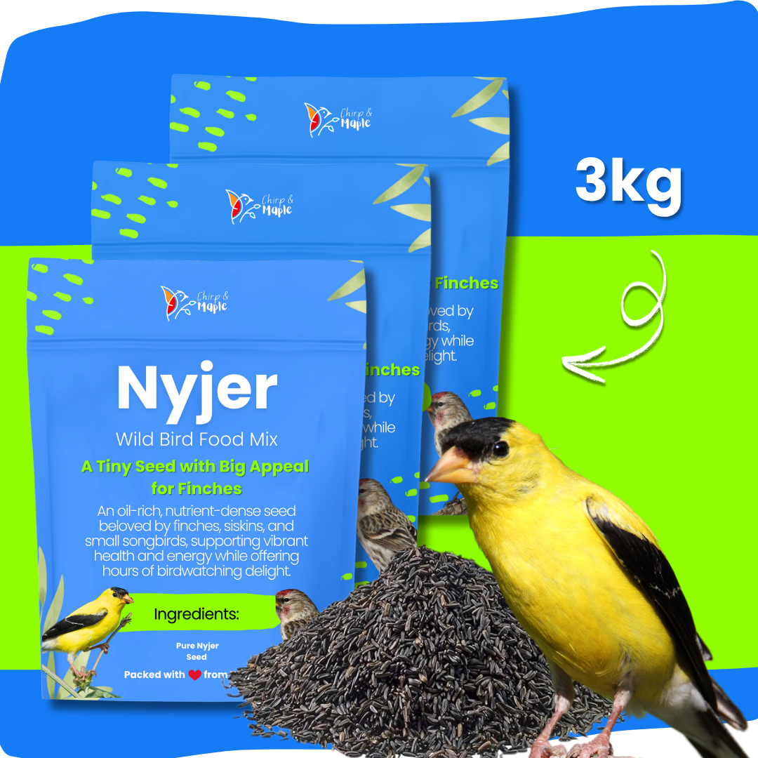 Nyjer Seed