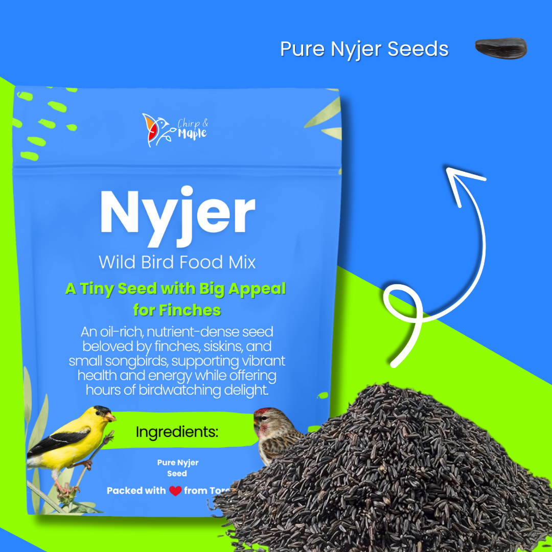 Nyjer Seed