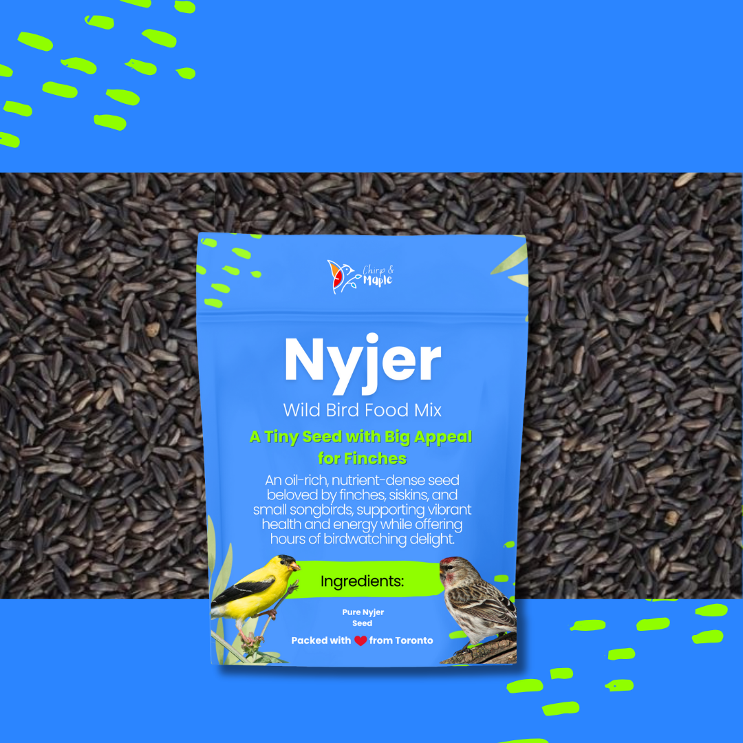 Nyjer Seed