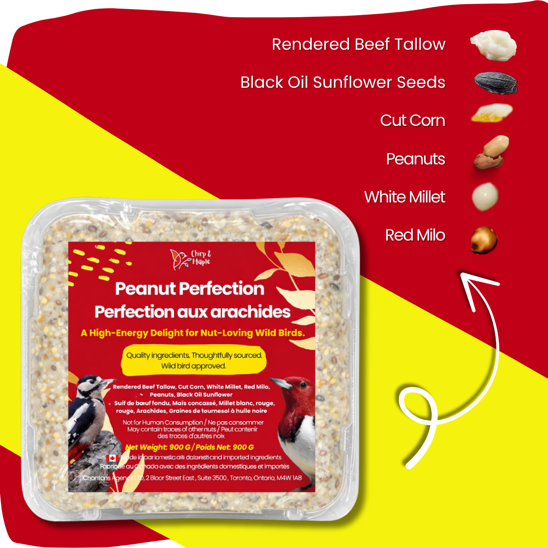 Peanut Perfection Suet Pack
