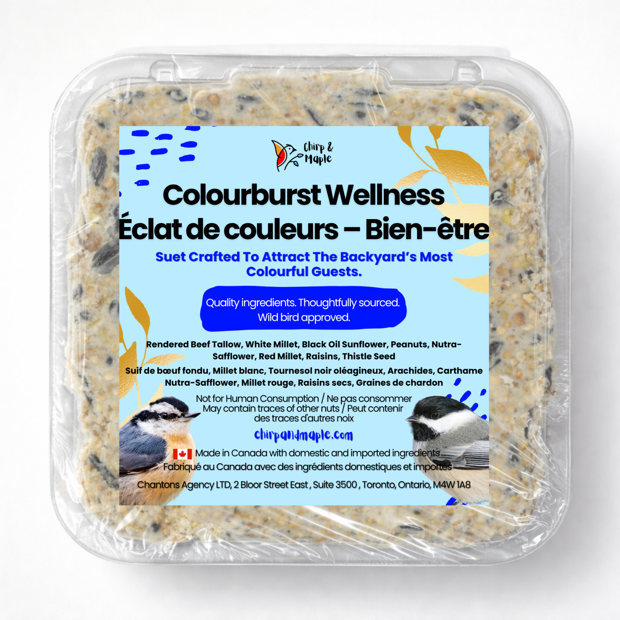 Colourburst Wellness Suet Pack
