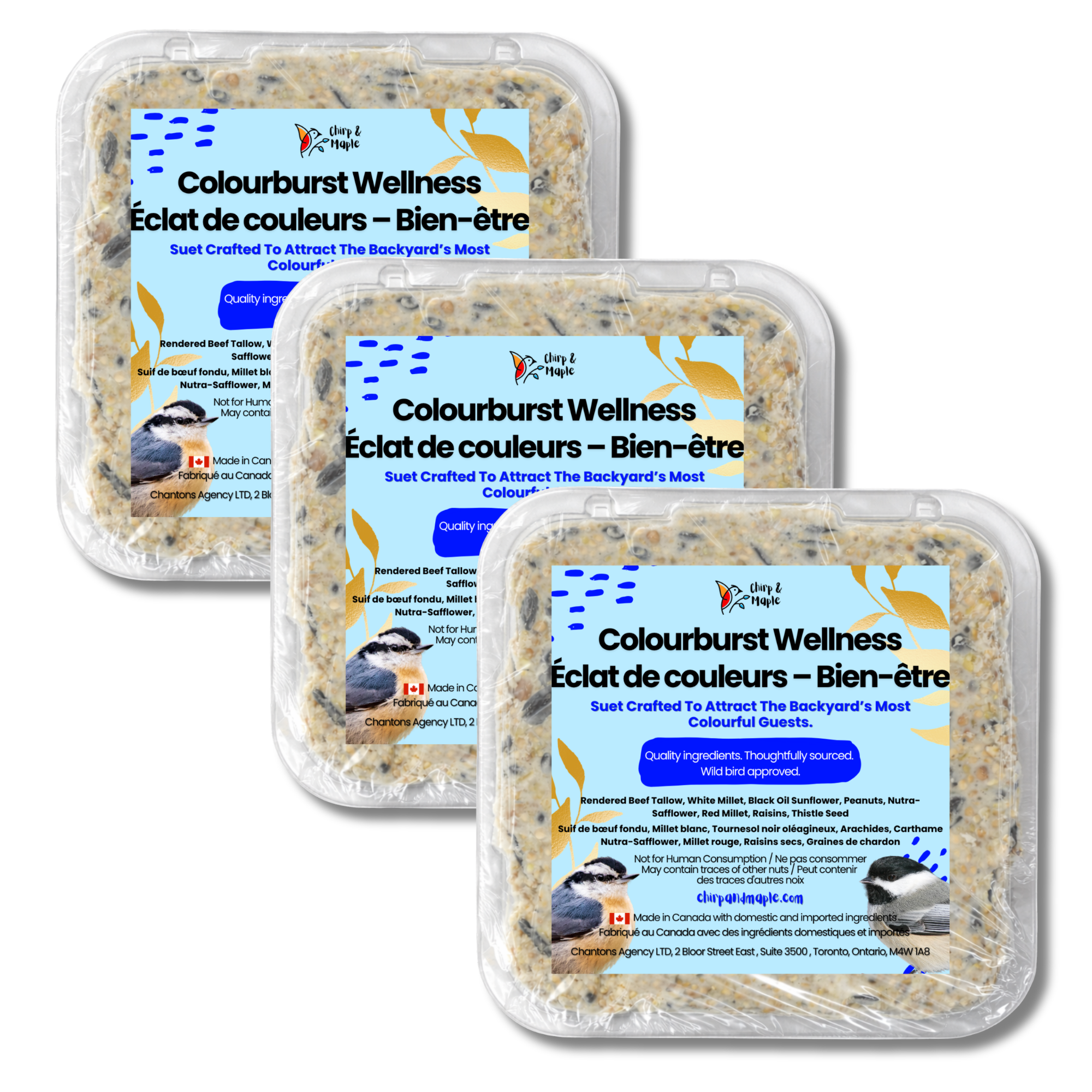 Colourburst Wellness Suet Pack
