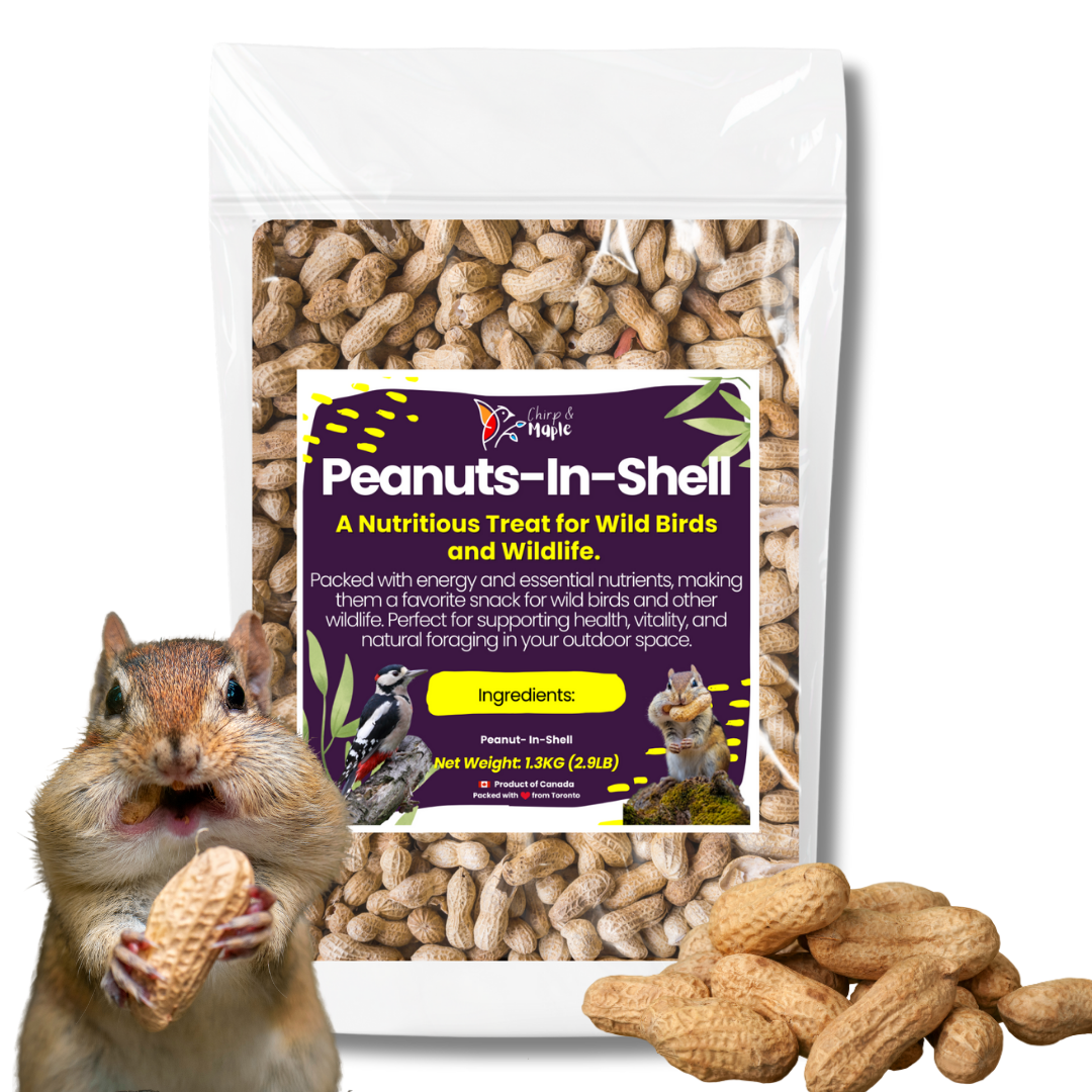 Unsalted Peanuts in Shell