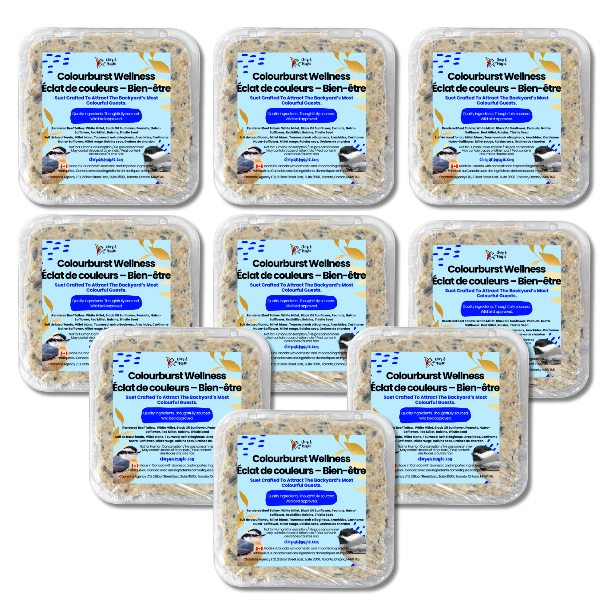 Colourburst Wellness Suet Pack