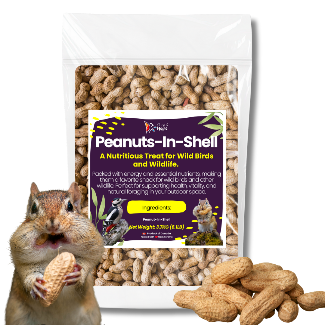 Unsalted Peanuts in Shell