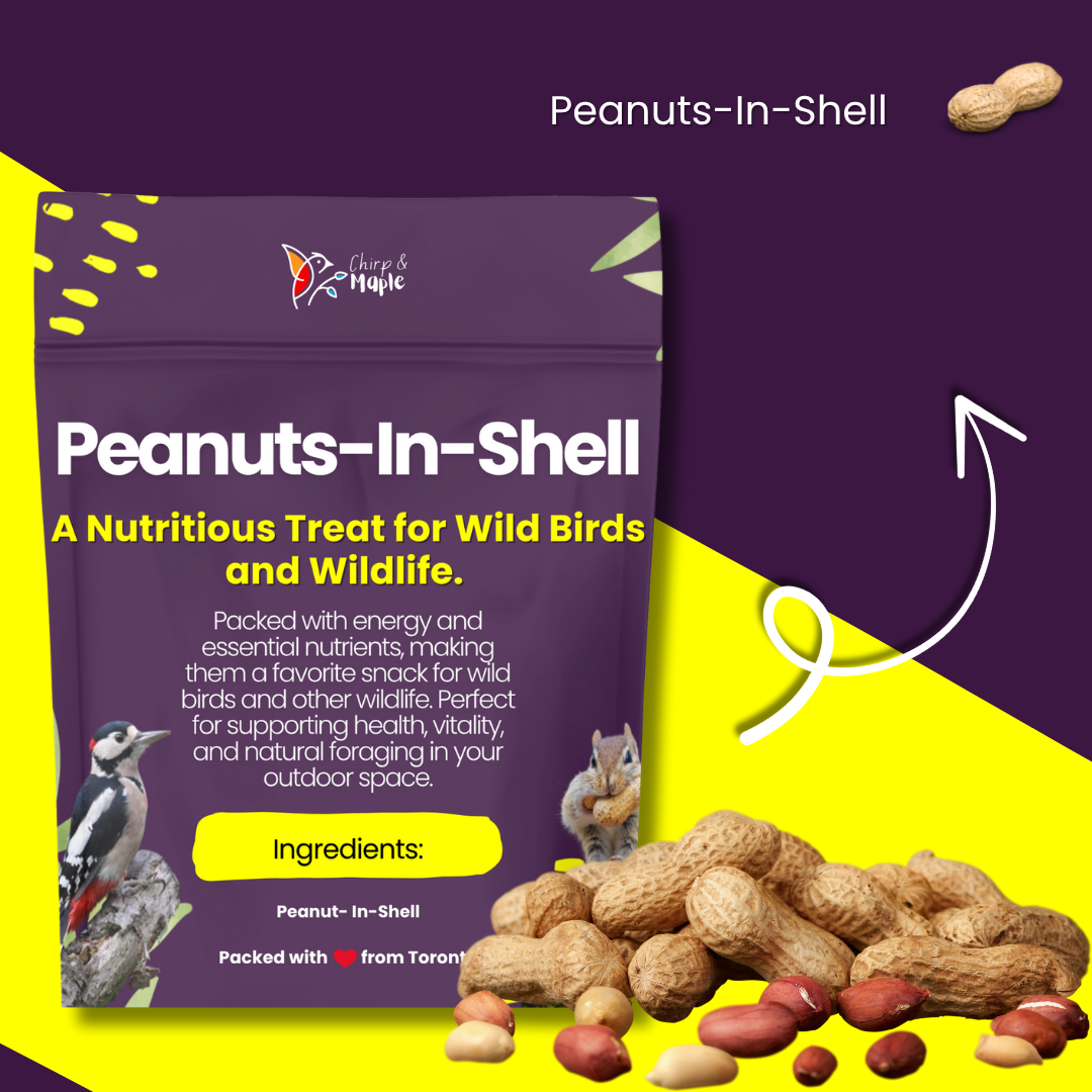 Unsalted Peanuts in Shell