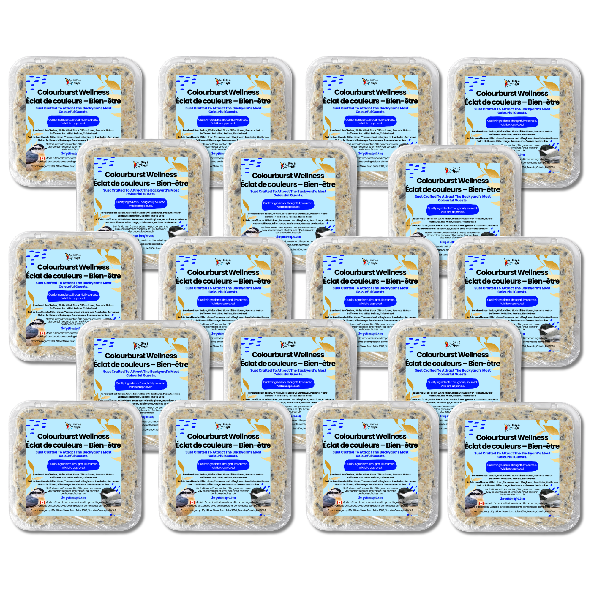 Colourburst Wellness Suet Pack