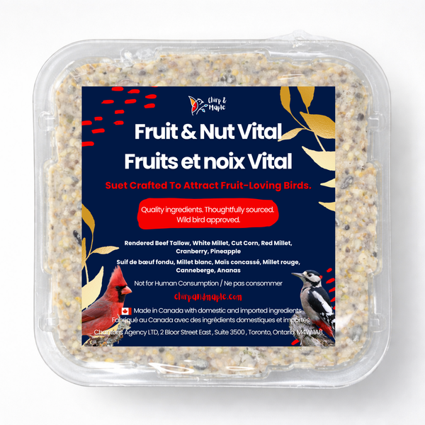 Fruit & Nut Suet Pack