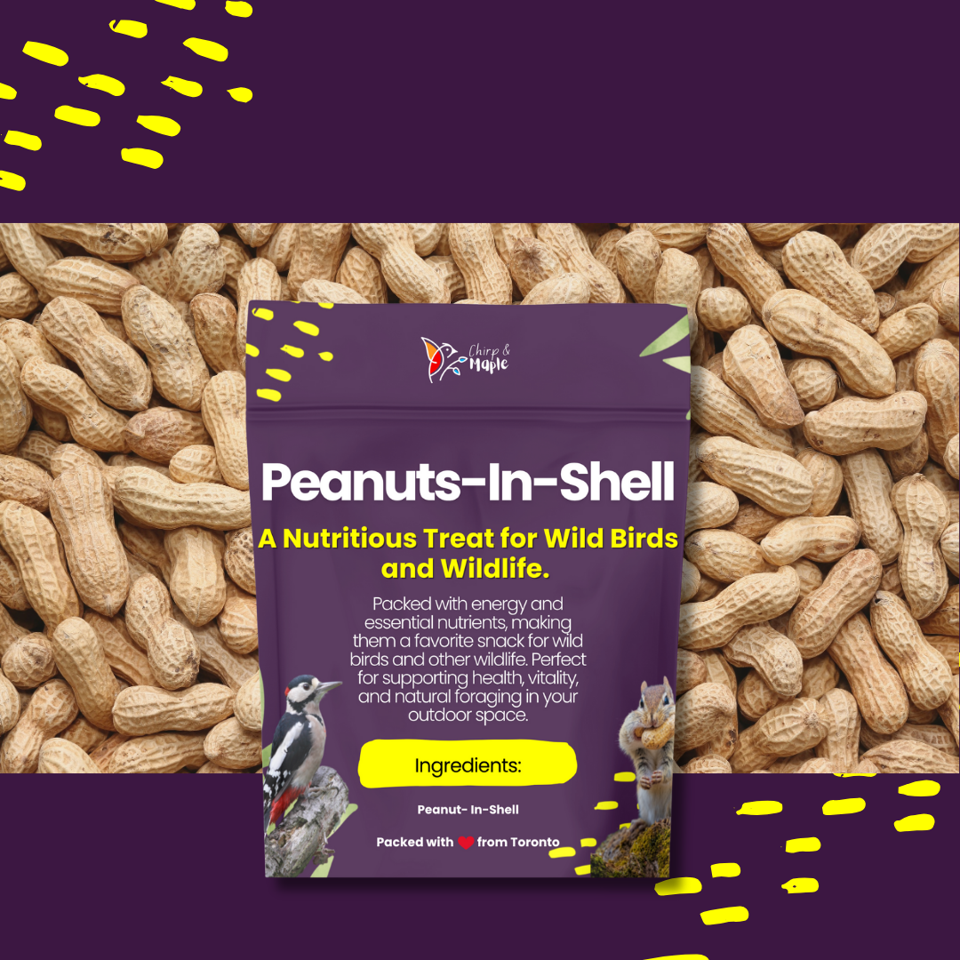 Unsalted Peanuts in Shell