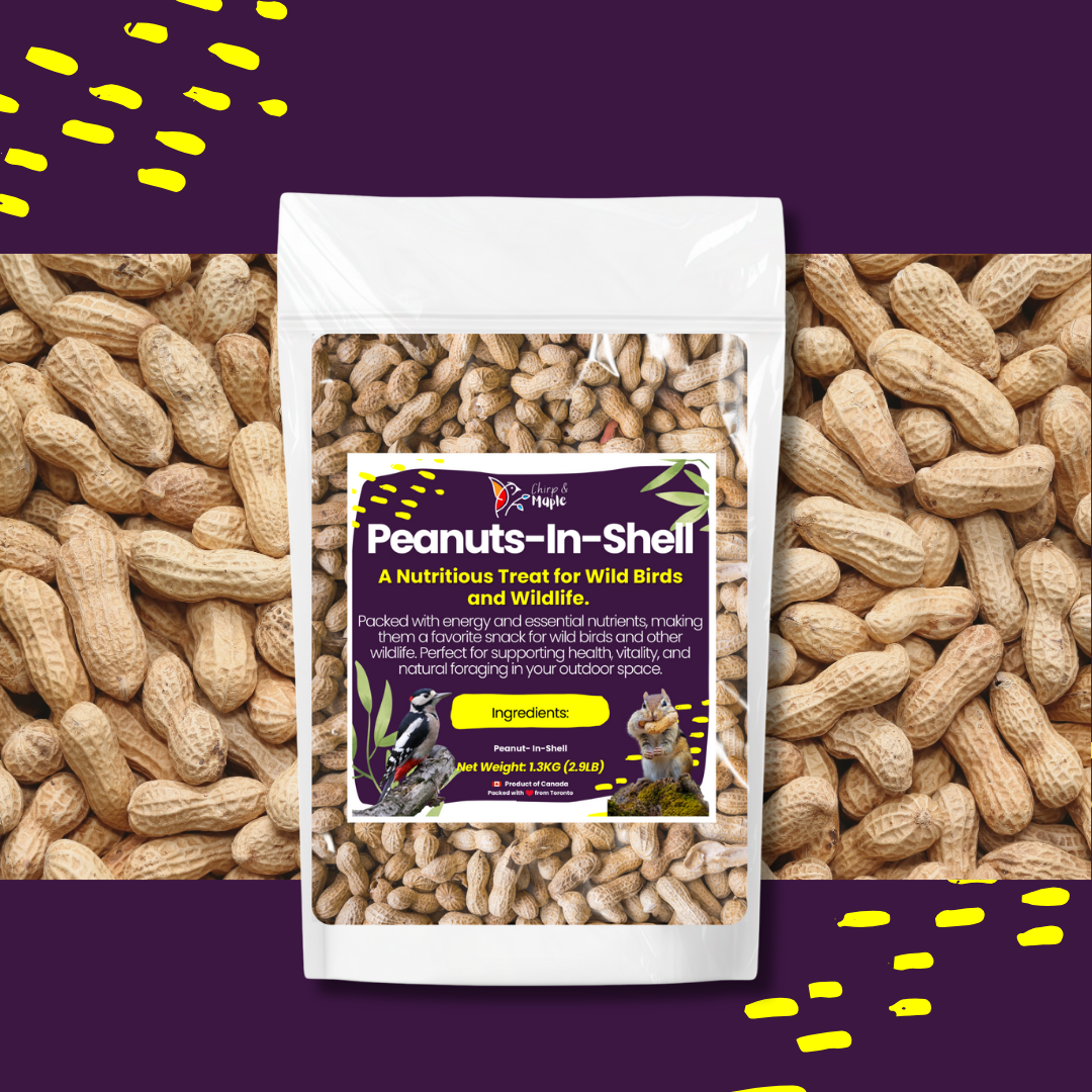 Unsalted Peanuts in Shell