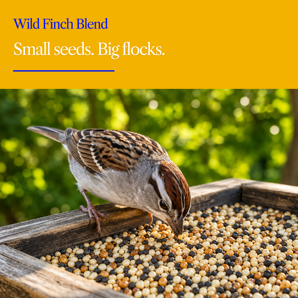 Wild Finch Seed Mix – Nyjer, Millet & Sunflower Chips for Goldfinches