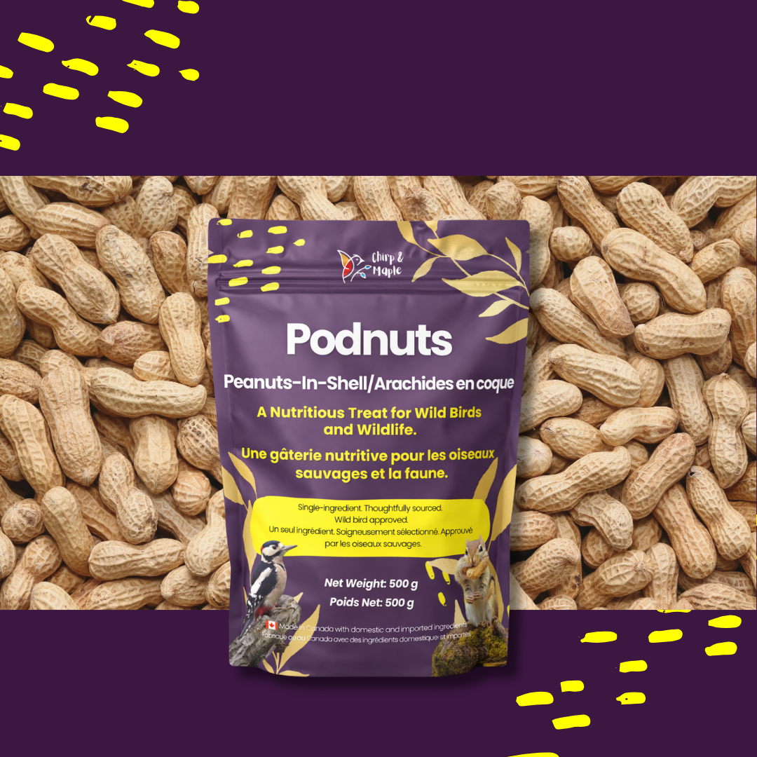 Podnuts - Peanuts in Shell