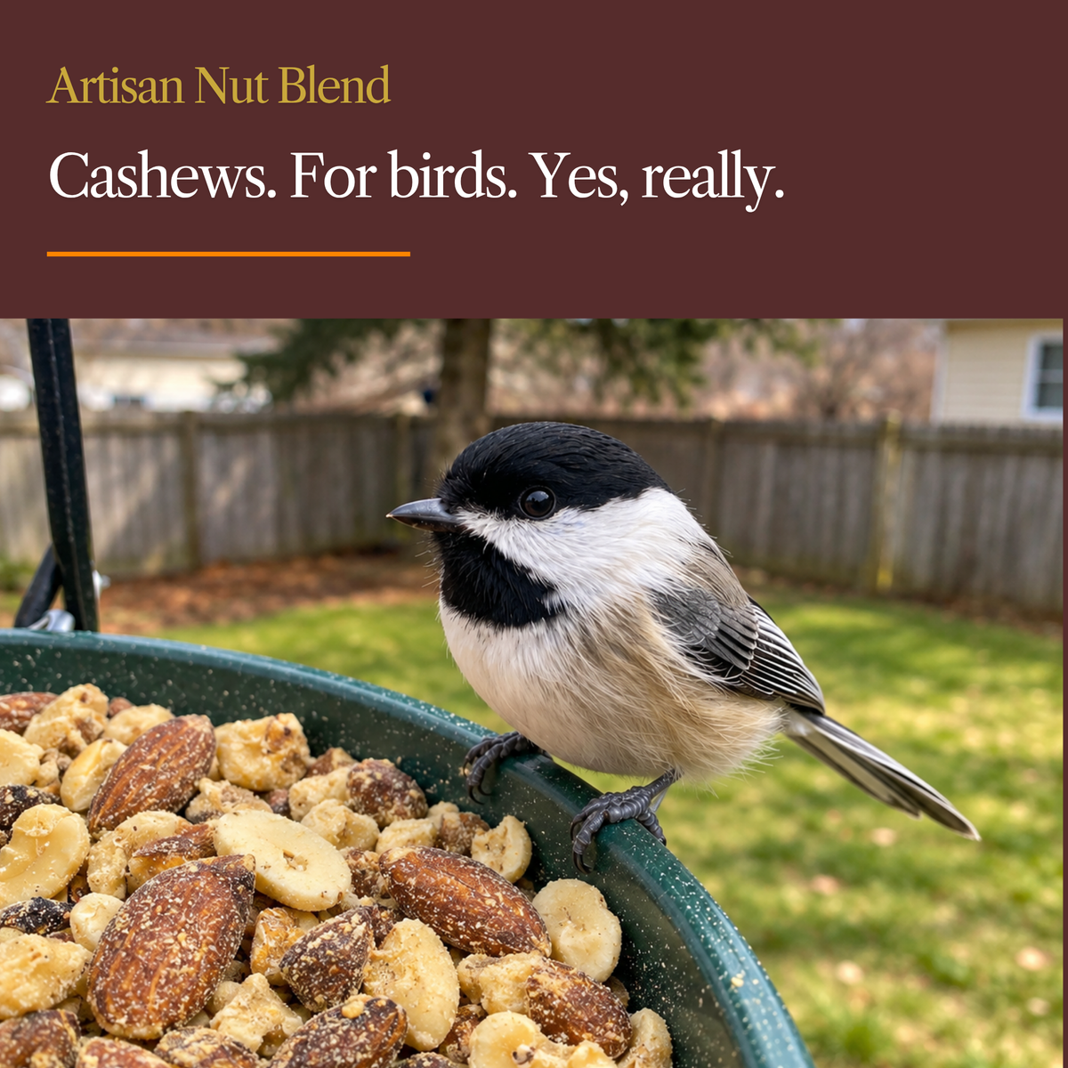Artisan Nut Blend Wild Bird Feed – Peanuts, Cashews, Walnuts & Mixed Nuts
