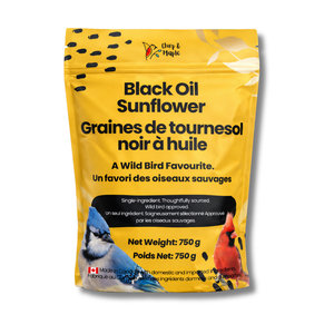 Black Oil Sunflower Seeds for Wild Birds – High Oil, Non-GMO