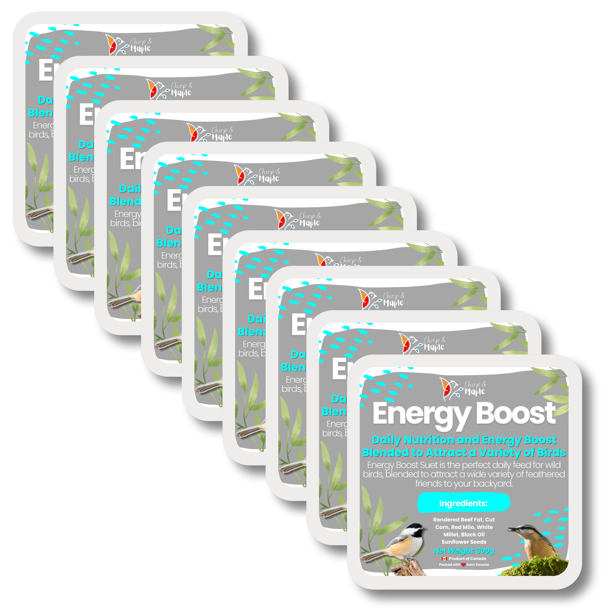 Energy Boost Suet