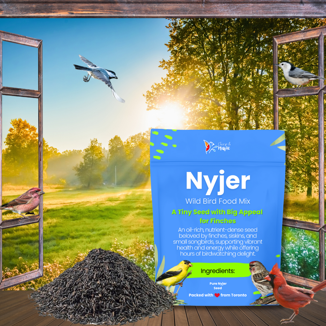 Nyjer Seed