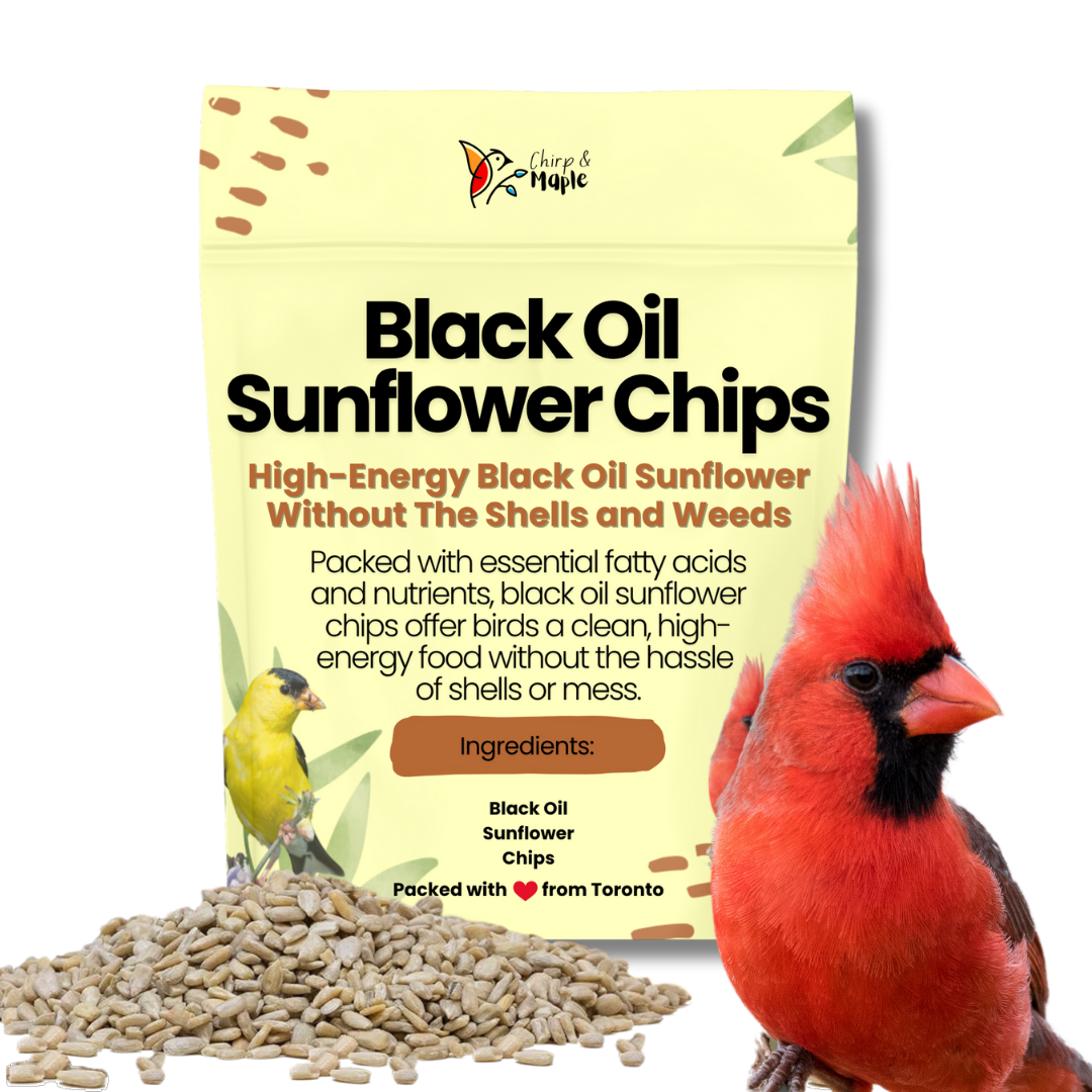 Sunflower Chips