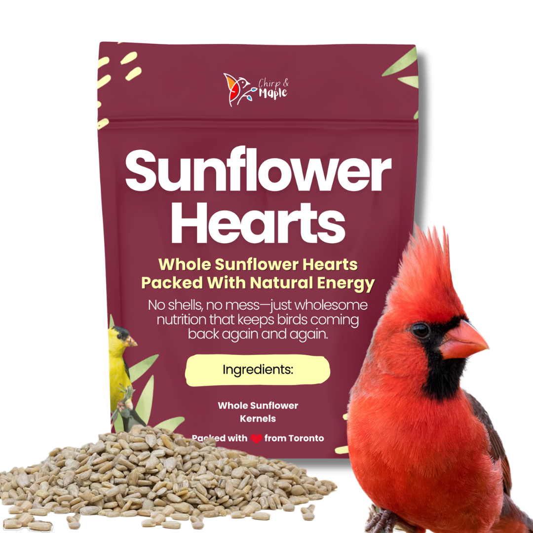 Sunflower Hearts