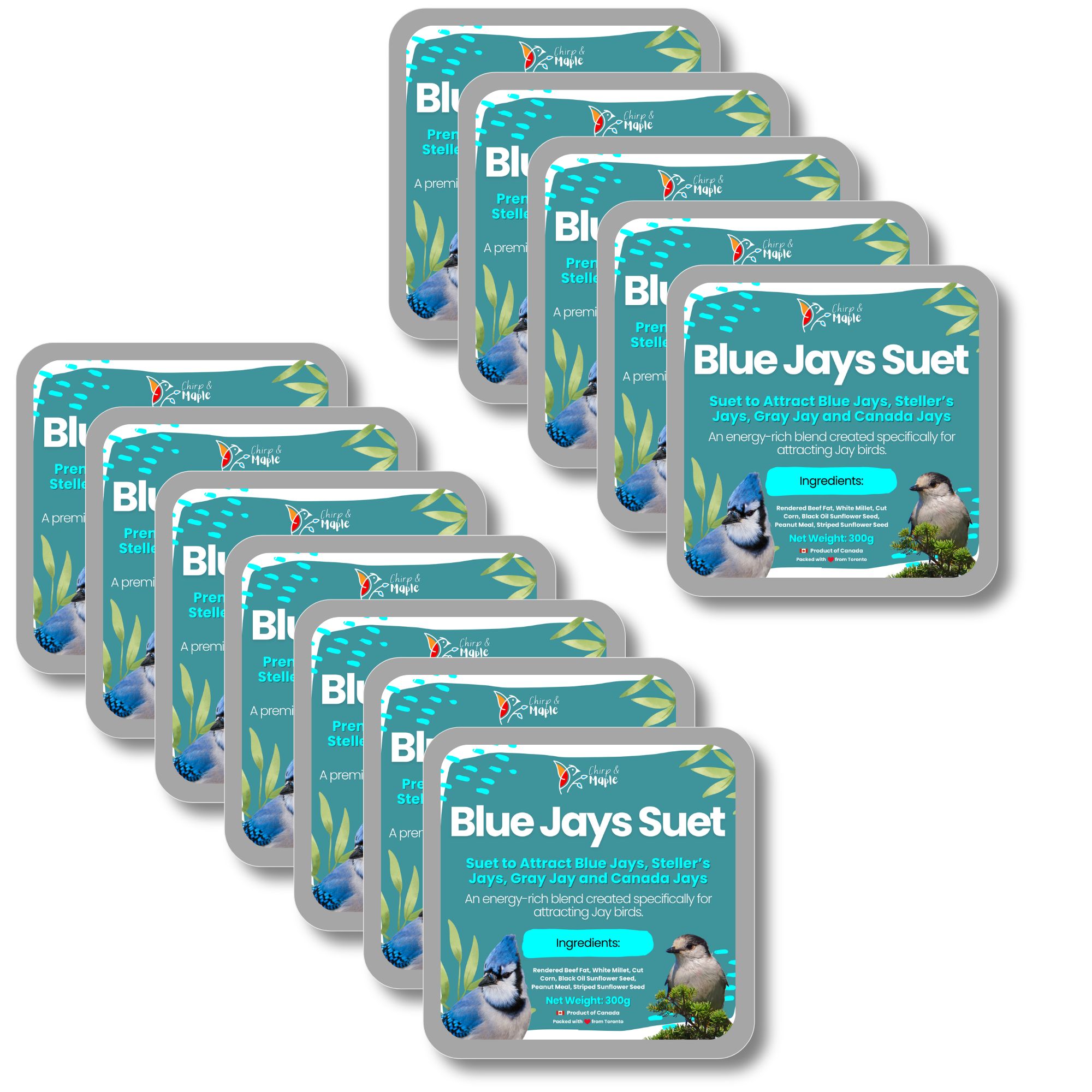 Blue Jays Suet