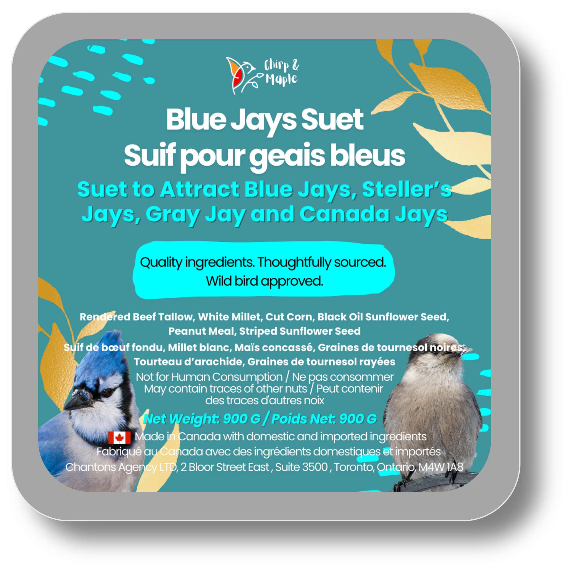 Jays Starter Kit – Hearty Blend, Peanuts & Suet