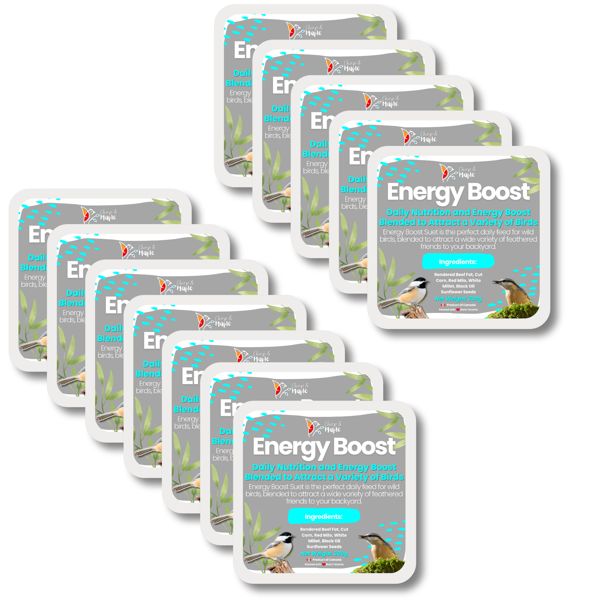 Energy Boost Suet