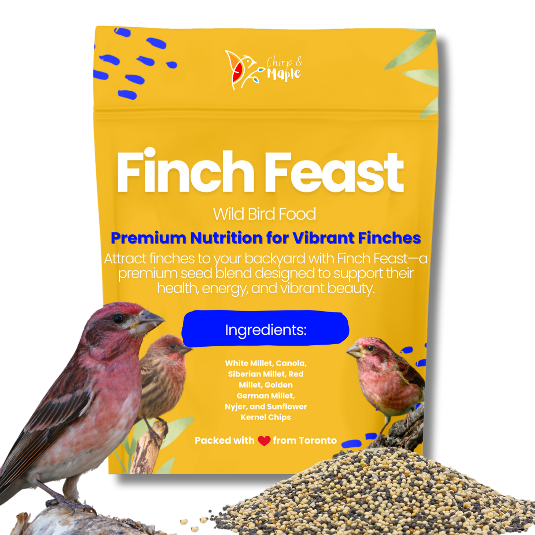 Finch Feast