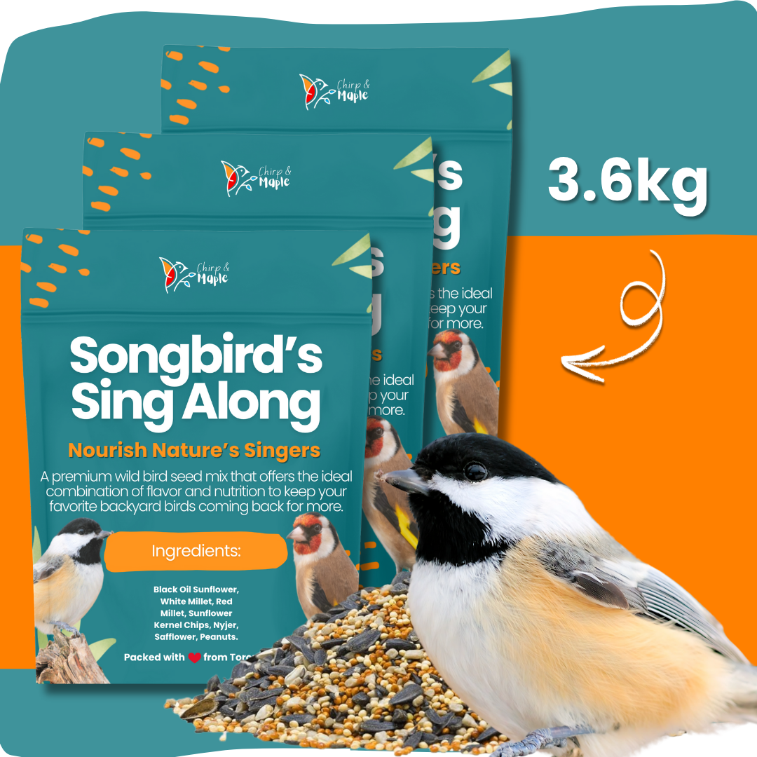 Songbird’s Sing Along