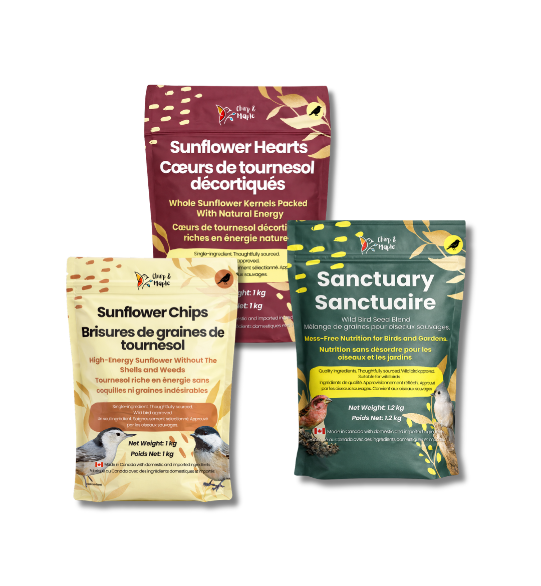 No-Mess Bird Feeding Starter Kit – Clean Patio Setup