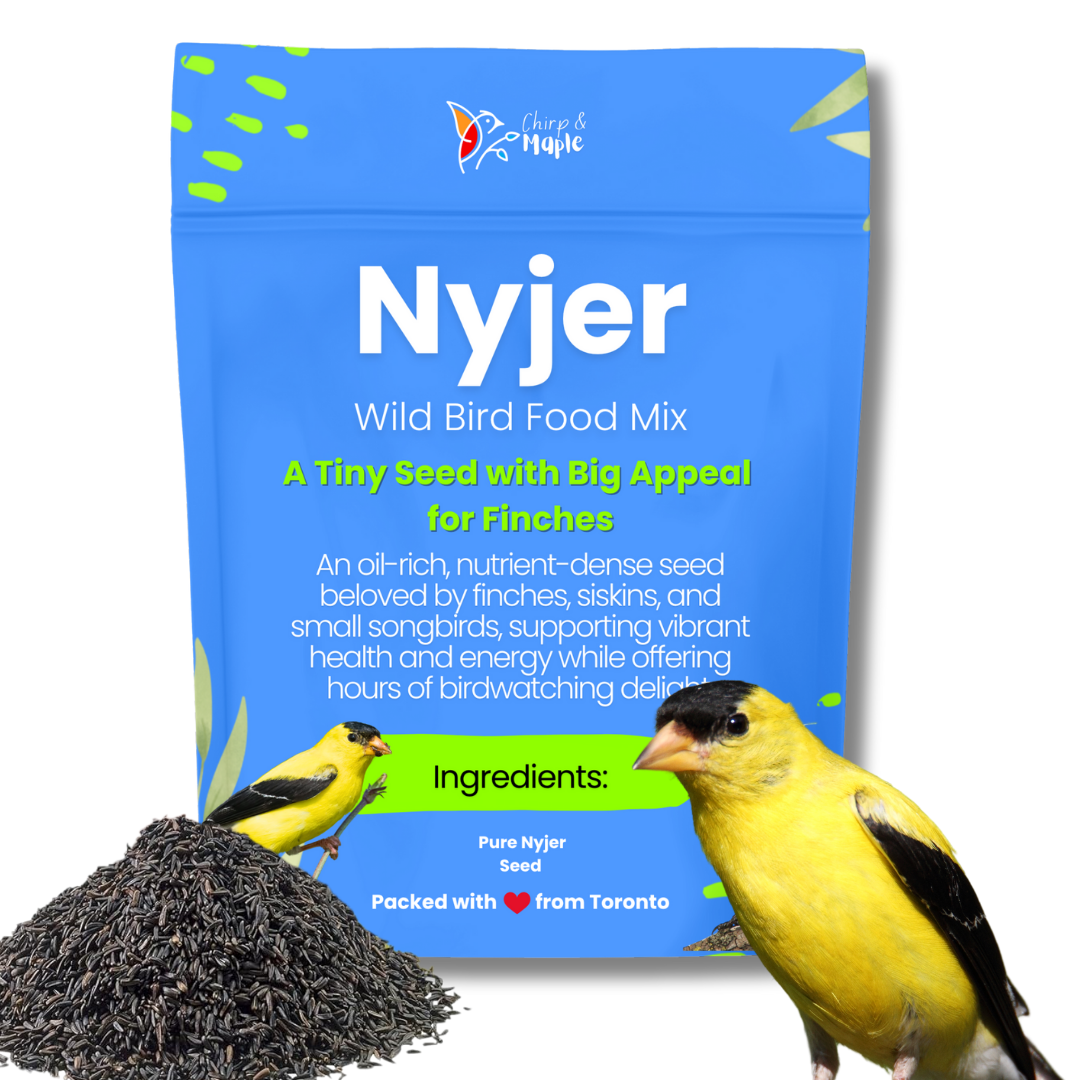 Nyjer Seed