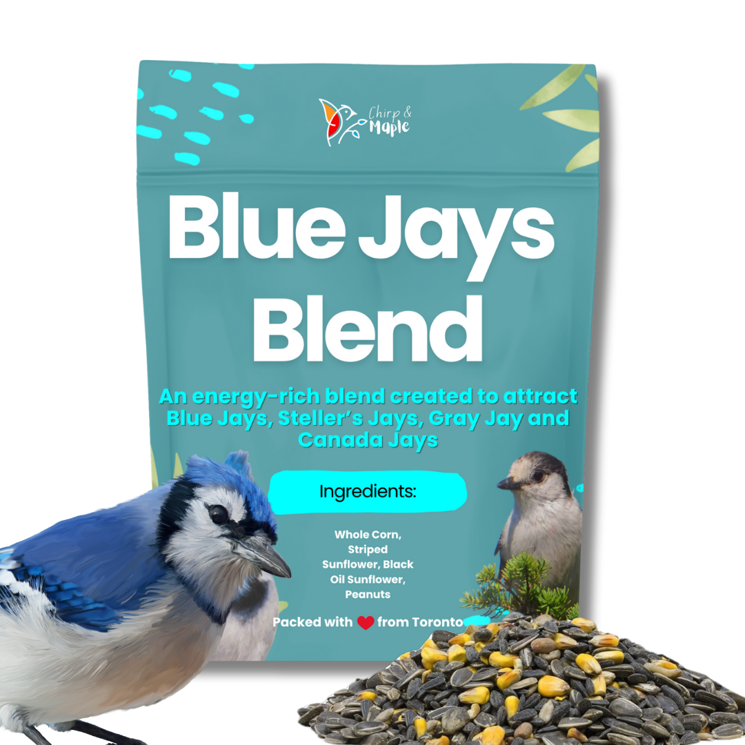 Blue Jays Blend