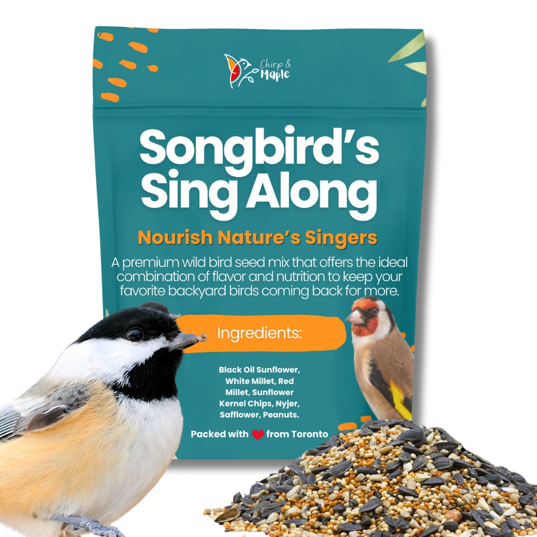 Songbird’s Sing Along