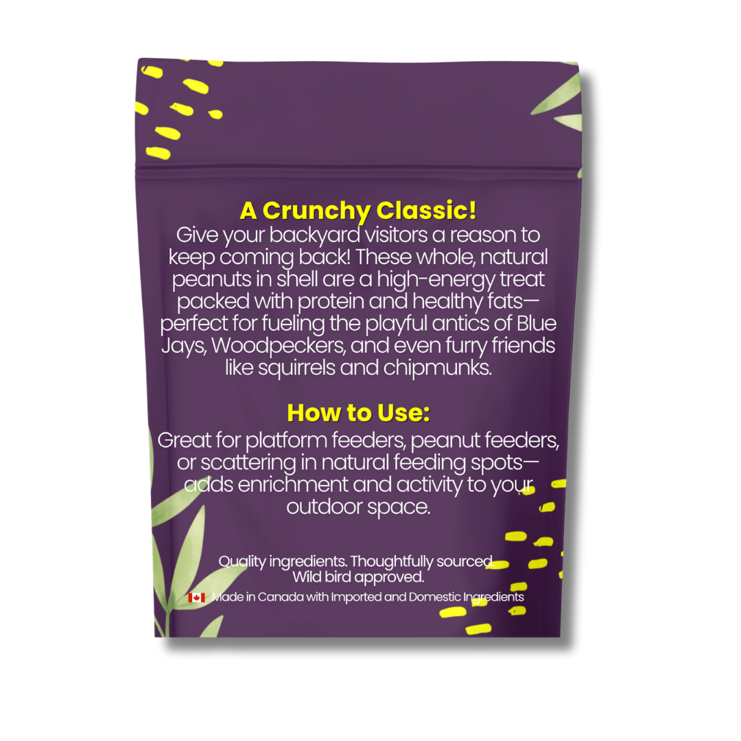 Unsalted Peanuts in Shell