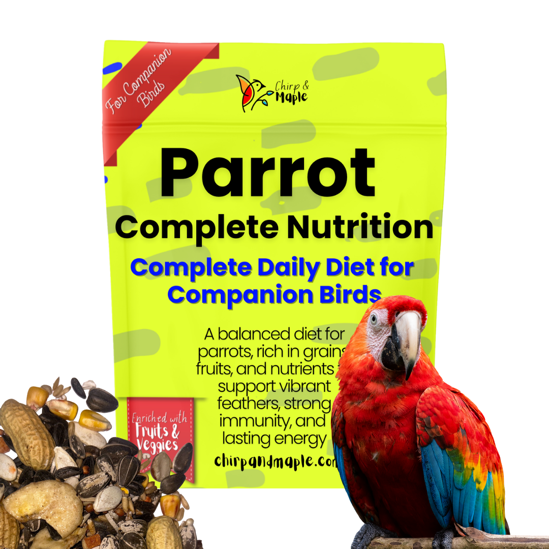 Parrot Food – Complete Daily Nutrition