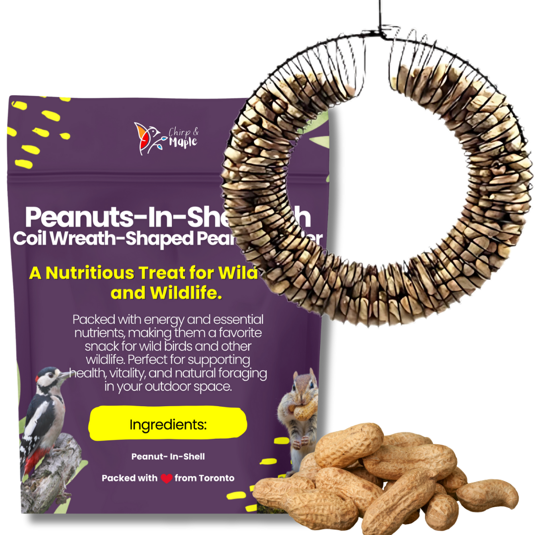 Unsalted Peanuts in Shell