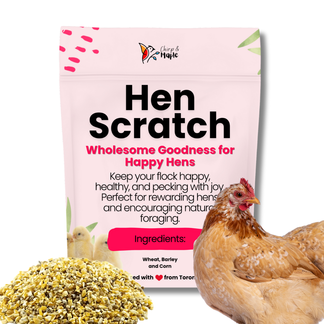 Hen Scratch