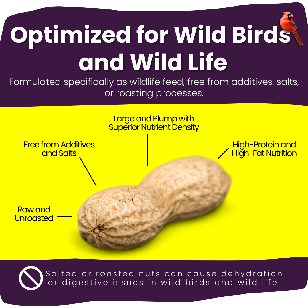 Unsalted Peanuts in Shell