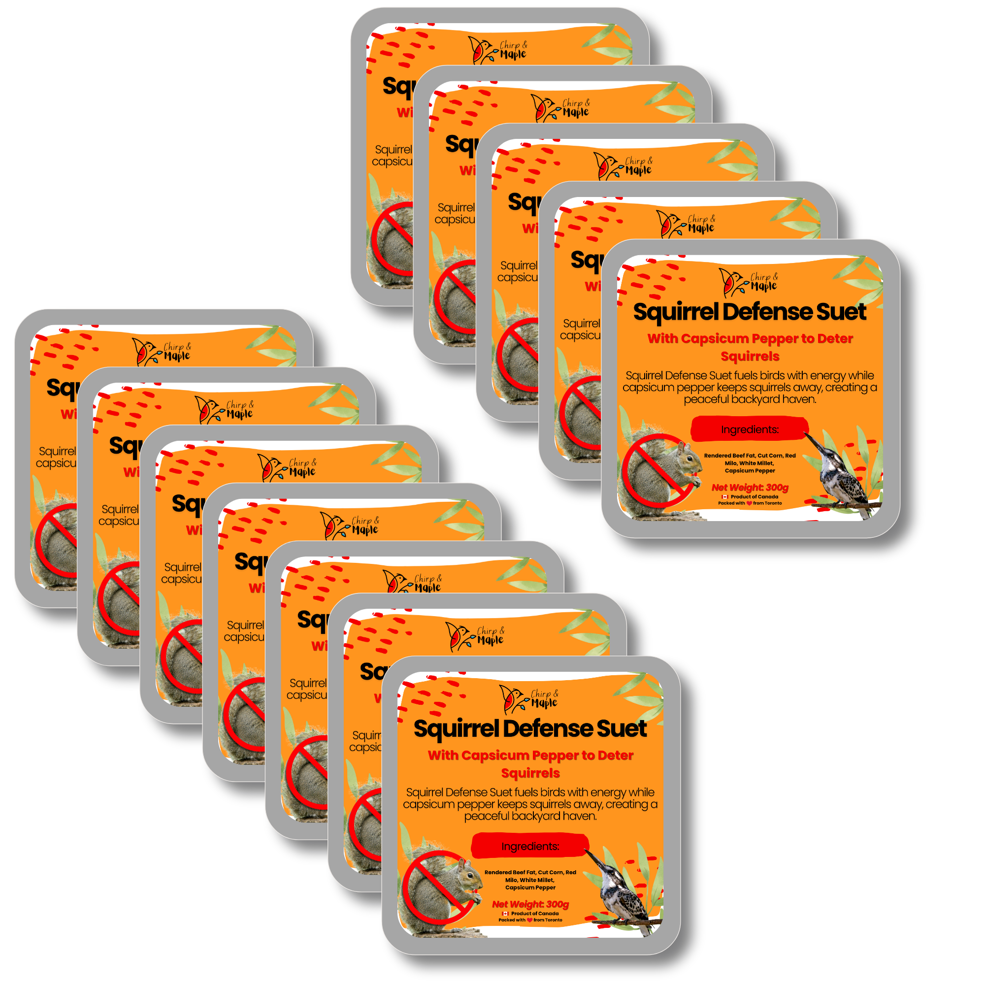 Squirrel Defense Suet