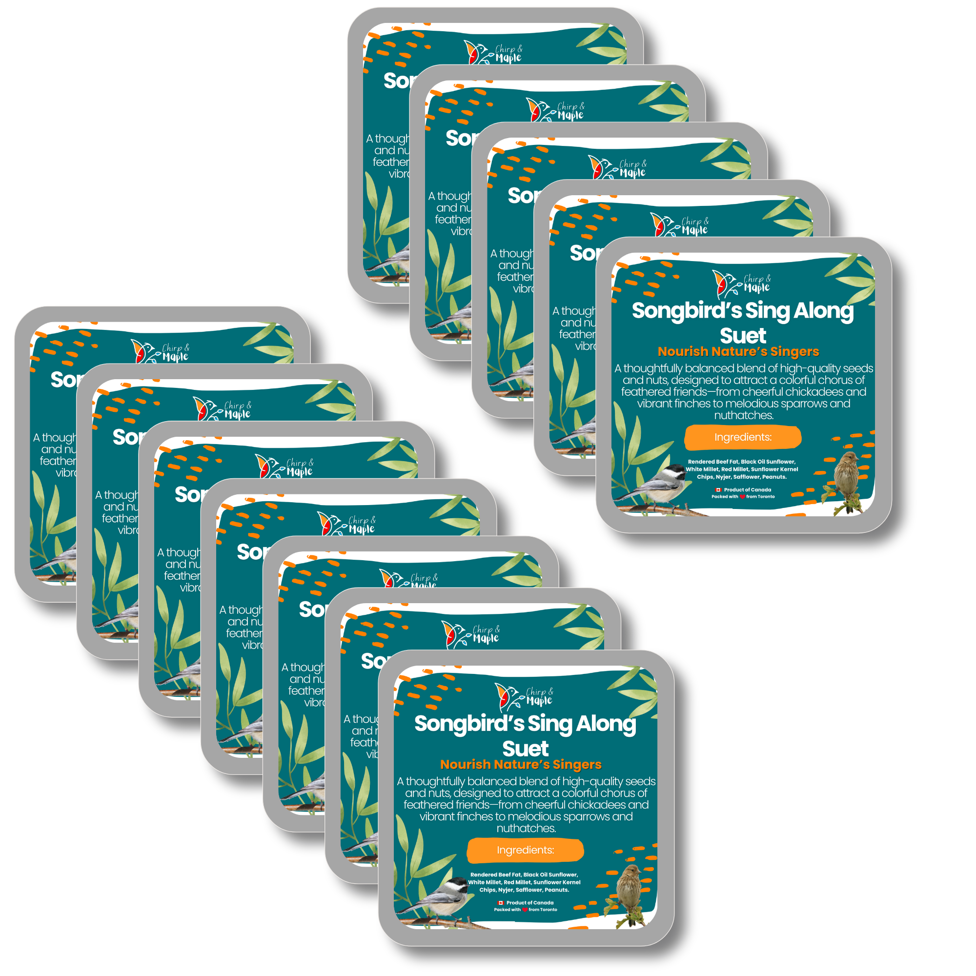 Songbird’s Sing Along Suet