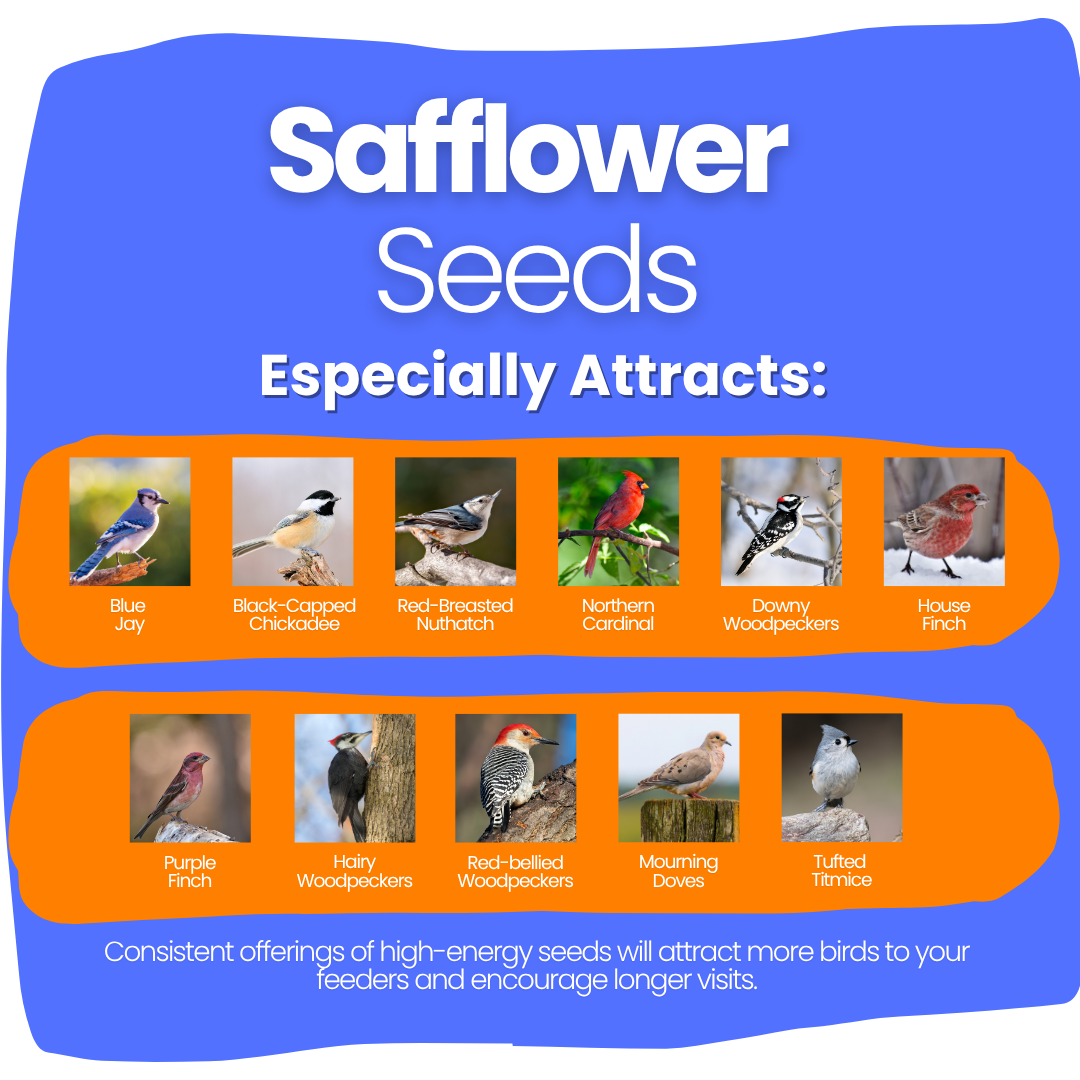 Safflower