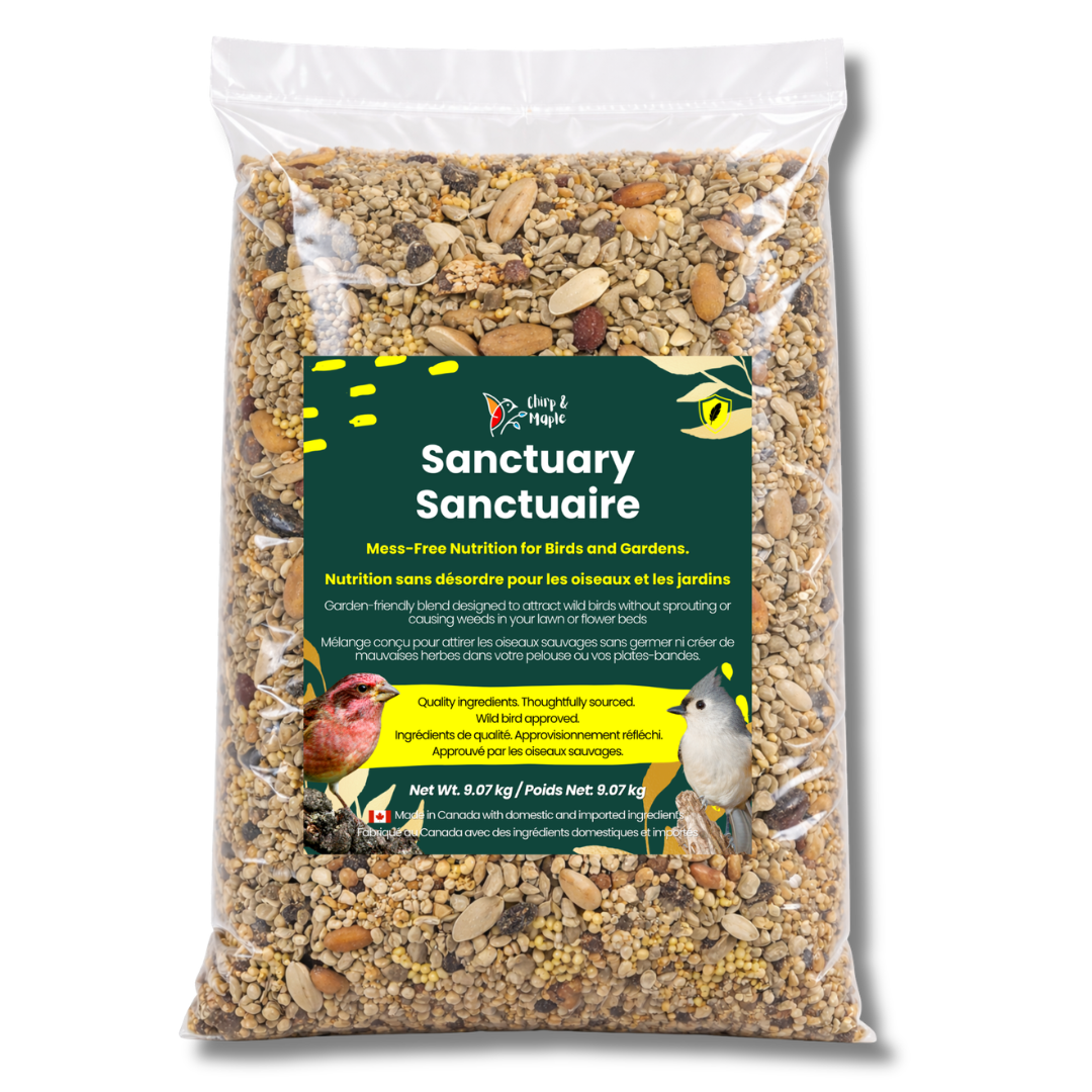 Sanctuary No-Mess Wild Bird Seed Mix – No Sprout, Garden-Safe Blend