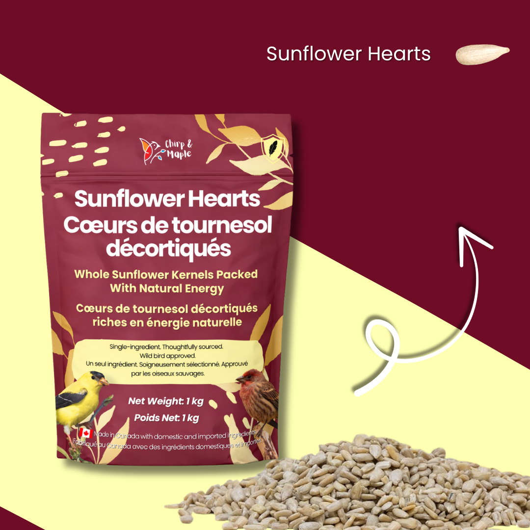 Sunflower Hearts