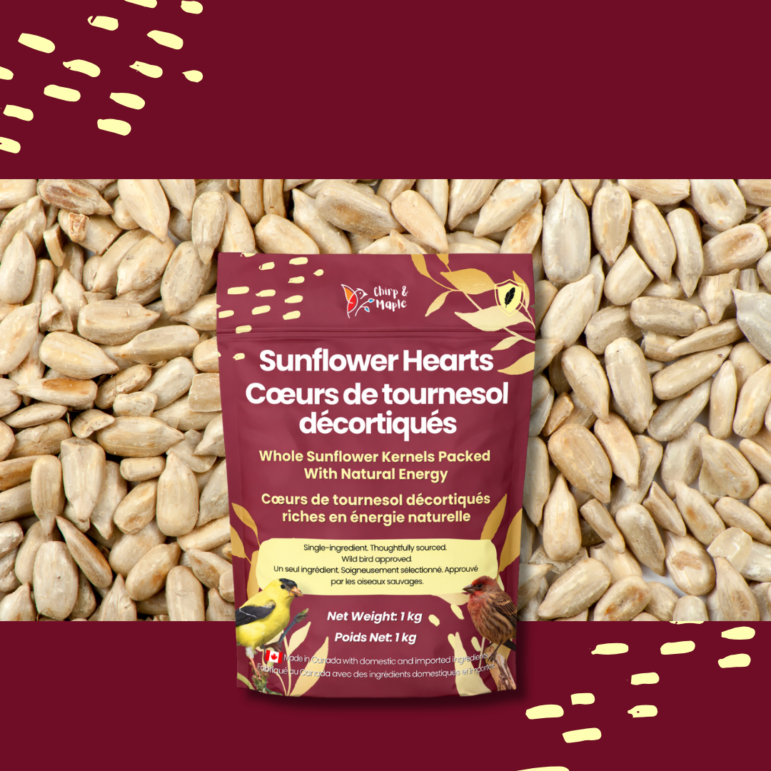 Sunflower Hearts
