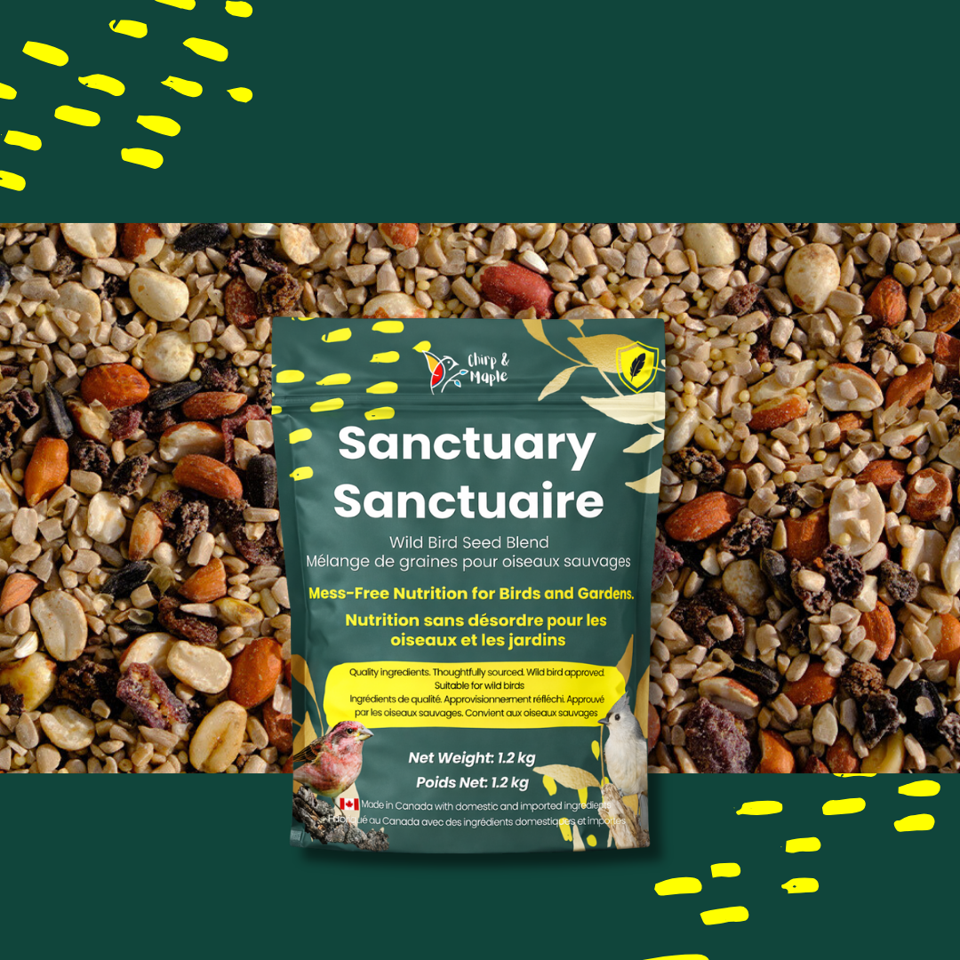 Sanctuary