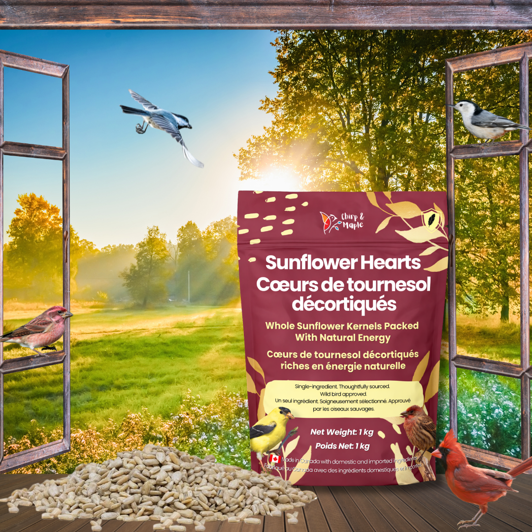 Sunflower Hearts