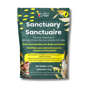 Sanctuary No-Mess Wild Bird Seed Mix – No Sprout, Garden-Safe Blend